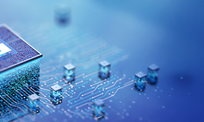 Auditing Information Security Management Systems V